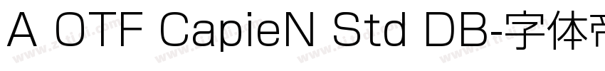 A OTF CapieN Std DB字体转换